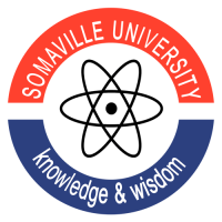Somaville University Learning Management System (LMS)